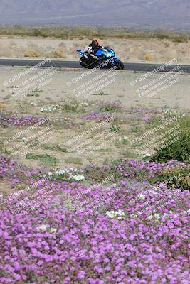 media/Feb-04-2023-SoCal Trackdays (Sat) [[8a776bf2c3]]/Turn 15 Inside Blooming (1050am)/